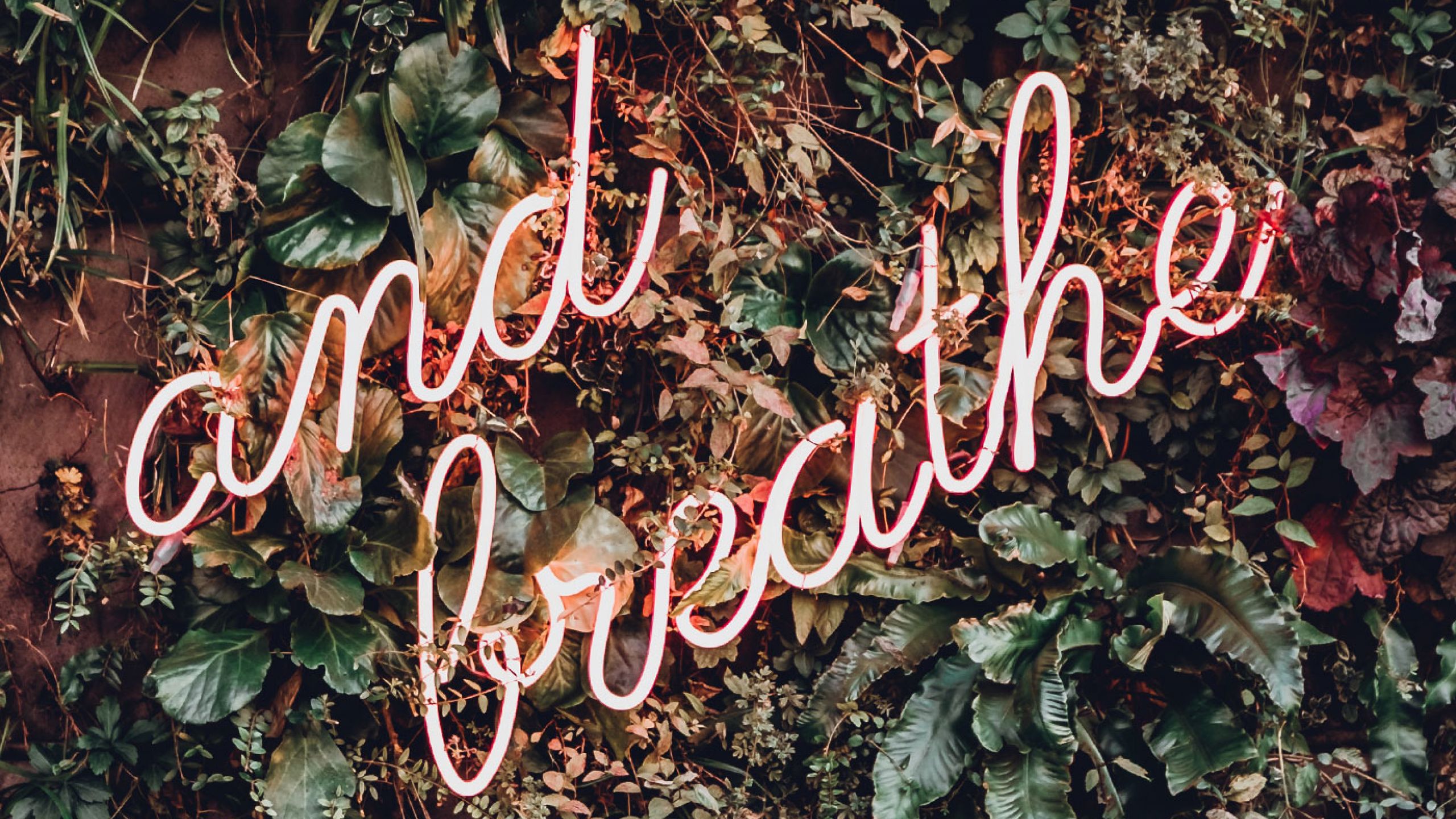 Hello Nice to Meet You