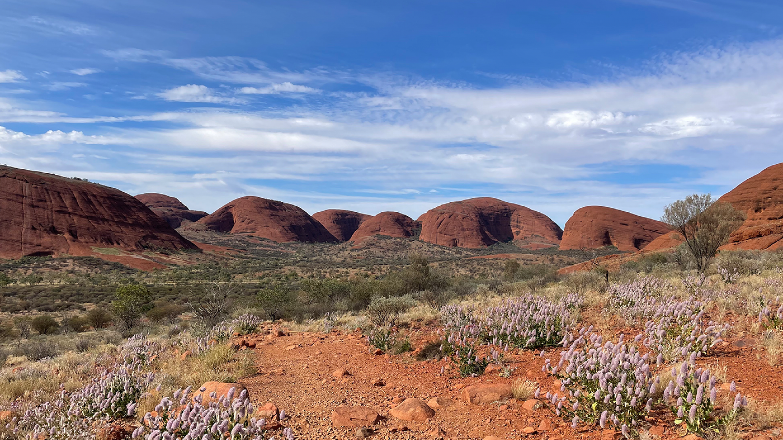 Kata Tjuta
